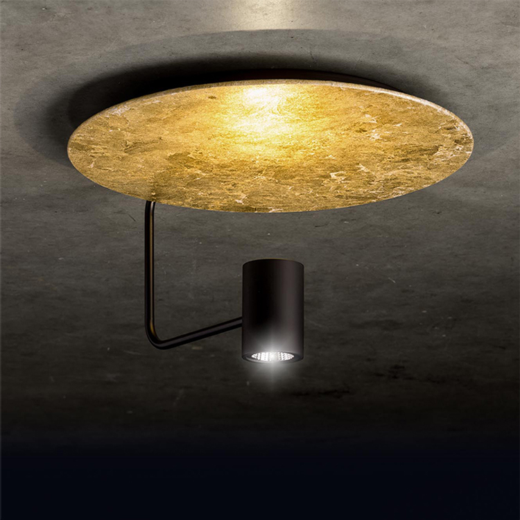Disc